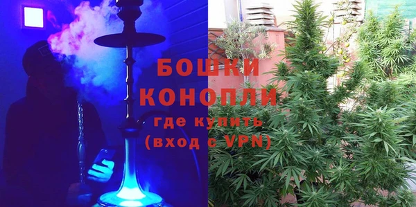 ГАЛЛЮЦИНОГЕННЫЕ ГРИБЫ Майский