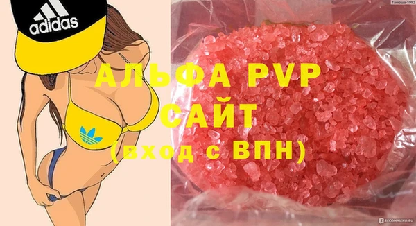 ПСИЛОЦИБИНОВЫЕ ГРИБЫ Магас