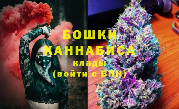 ГАЛЛЮЦИНОГЕННЫЕ ГРИБЫ Майский
