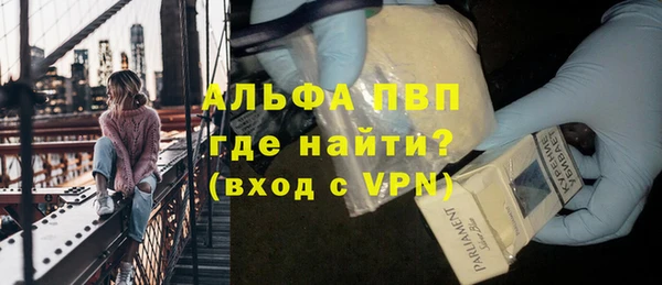 ПСИЛОЦИБИНОВЫЕ ГРИБЫ Магас