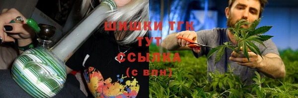 ГАЛЛЮЦИНОГЕННЫЕ ГРИБЫ Майский